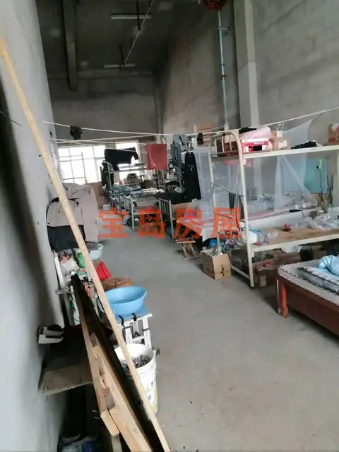 波尔多