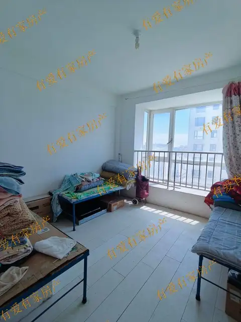 出租•金海明珠•3室2厅2卫