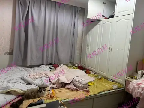 2室1厅1卫 新港小区