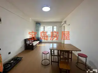 金海明珠