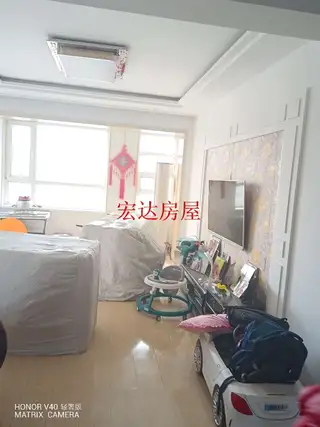电梯凤凰楼层，同小区仅此一套