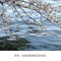 卖海鲜的