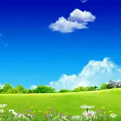 蓝莓酱