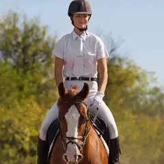 马背上的人
