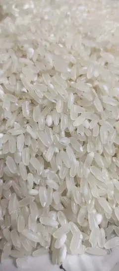 五常稻花香大米