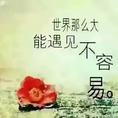 乐宁