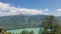 欣欣向荣兴旺