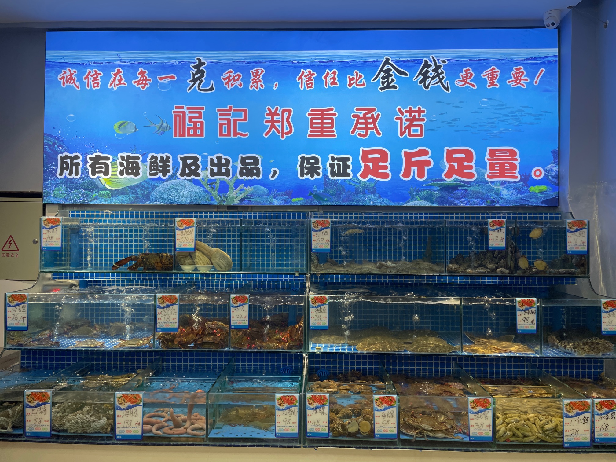 福记小船故事