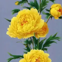 公婆饼