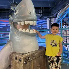 伴风望海ⁱ