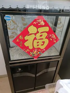 闲置鱼缸800x1400 上过滤 500出.买的时候2600