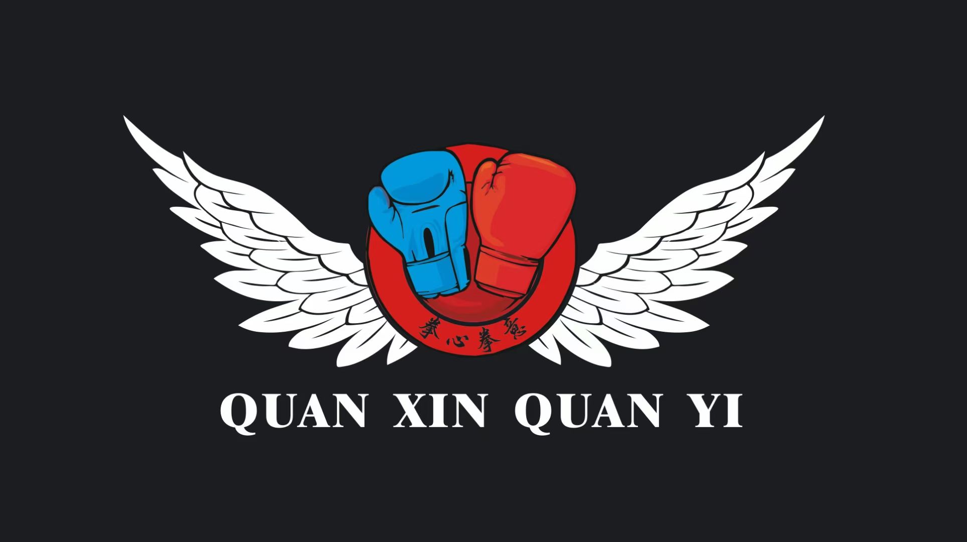 拳心拳意散打搏击