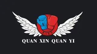 拳心拳意散打搏击