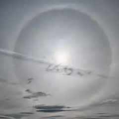 醉月惜苍尘