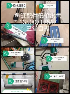 全部低价出