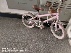 姑娘长大了骑不了，适合7.8岁以内孩子骑