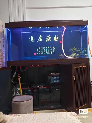 1.5/50鱼缸，最新过滤系统，三堂自提，设备全