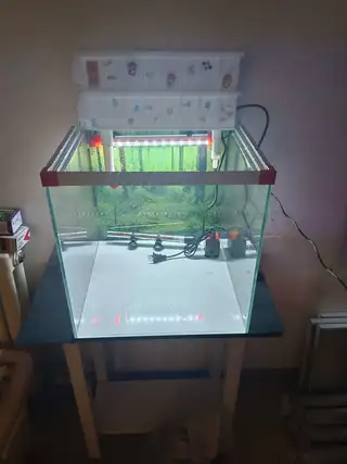 金晶超白鱼缸一套全新 40方缸带灯 水泵 过滤 都是全新的