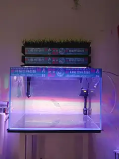 60 40 40金晶超白鱼缸一套全新 带架子 水泵 灯 过滤一套回去直接开缸