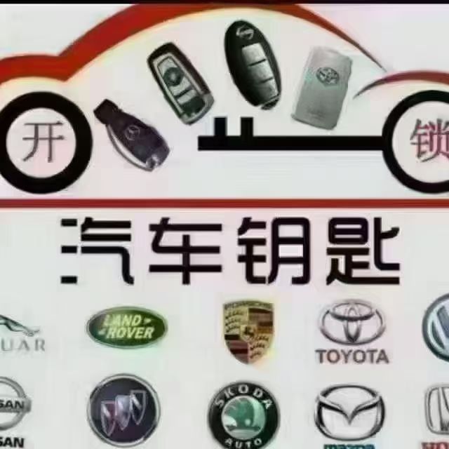 开锁换锁芯，换指纹密码锁，匹配汽车芯片钥匙，汽车摇控器，车库摇控器。各种防盗门锁，24小时在线联系电