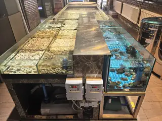 饭店用的鱼缸，有捡漏的速联系我。嘎嘎好用。