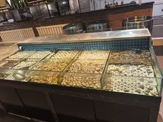 饭店用的鱼缸，有捡漏的速联系我。嘎嘎好用。