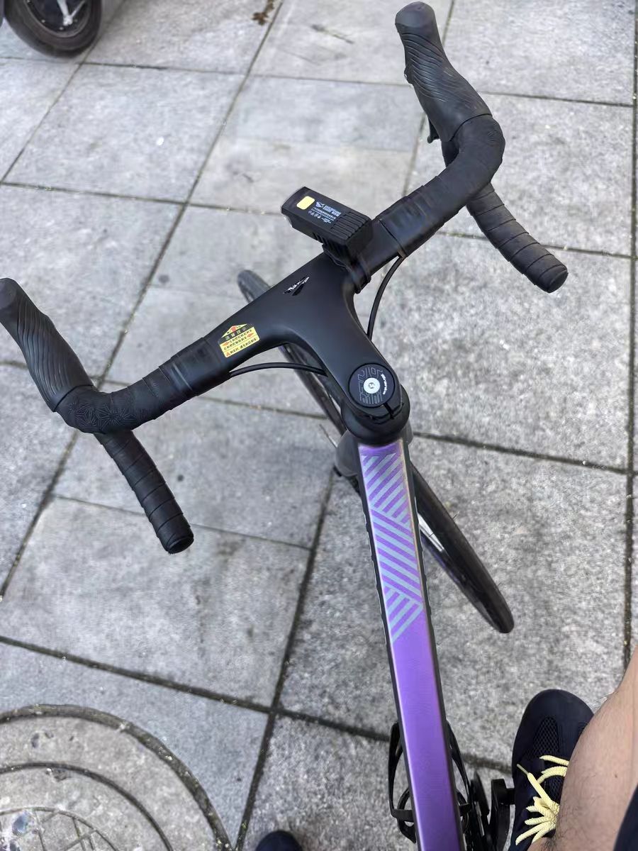 几乎没咋骑，99新，可议