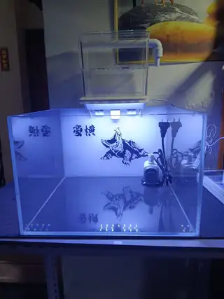 35金晶超白全新鱼缸一套