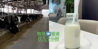 多米鲜奶吧