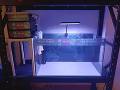 60 30 35带过滤水泵鱼缸灯一套 便宜处理了