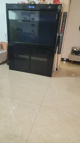 可丽爱鱼缸5500买的，要换房子鱼缸没地方放，有喜欢的1500出。