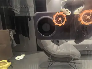 出小丑鱼尺寸5左右 奶牛小丑 番茄小丑 全部出