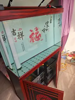 九成新金晶超白鱼缸，1.2米,宽400设备齐全，长兴岛，