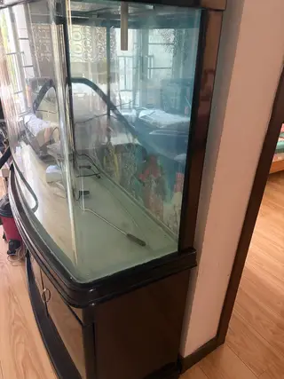 鱼缸自提