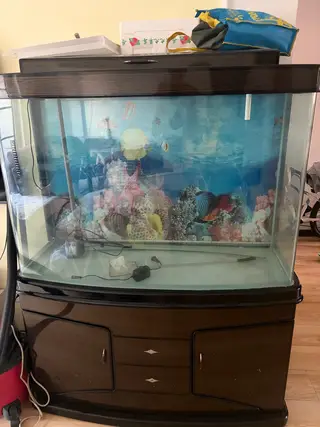 鱼缸自提