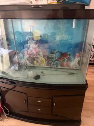 鱼缸自提