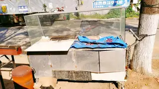 鸡蛋饼车，两个锅，有轮子可推580 展示柜带冷藏冷冻1000 普通展示柜500