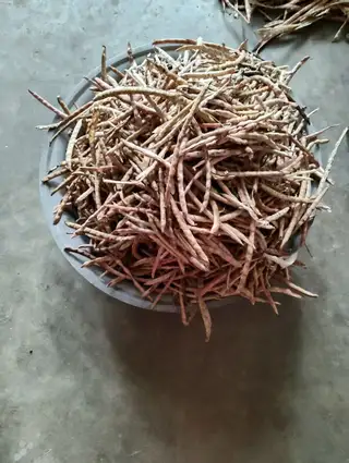 新出的花生自然晾晒果仁饱满3.5元每斤 ​新红豆颗粒均匀适合豆馅豆浆6.5元每斤 ​新饭豆适合焖饭做