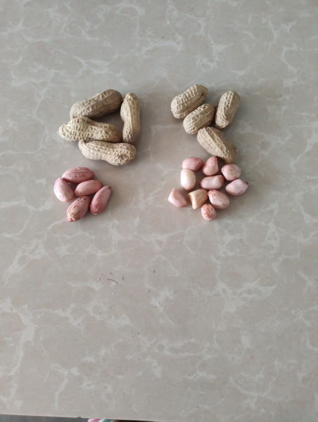 新出的花生自然晾晒果仁饱满3.5元每斤 ​新红豆颗粒均匀适合豆馅豆浆6.5元每斤 ​新饭豆适合焖饭做