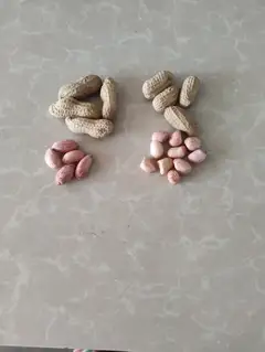 新出的花生自然晾晒果仁饱满3.5元每斤 ​新红豆颗粒均匀适合豆馅豆浆6.5元每斤 ​新饭豆适合焖饭做