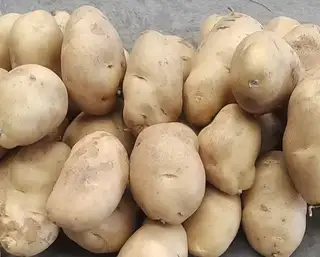 新出的花生自然晾晒果仁饱满3.5元每斤 ​新红豆颗粒均匀适合豆馅豆浆6.5元每斤 ​新饭豆适合焖饭做