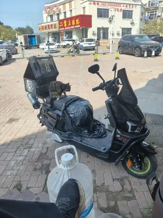 一年的电瓶车，看车研究