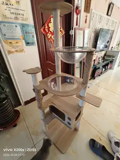 小猫用品便宜处理给钱就卖