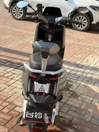 给老公买的电动车就跑300公里没有电池，台铃王者，新车不带电池4700买的能跑73迈