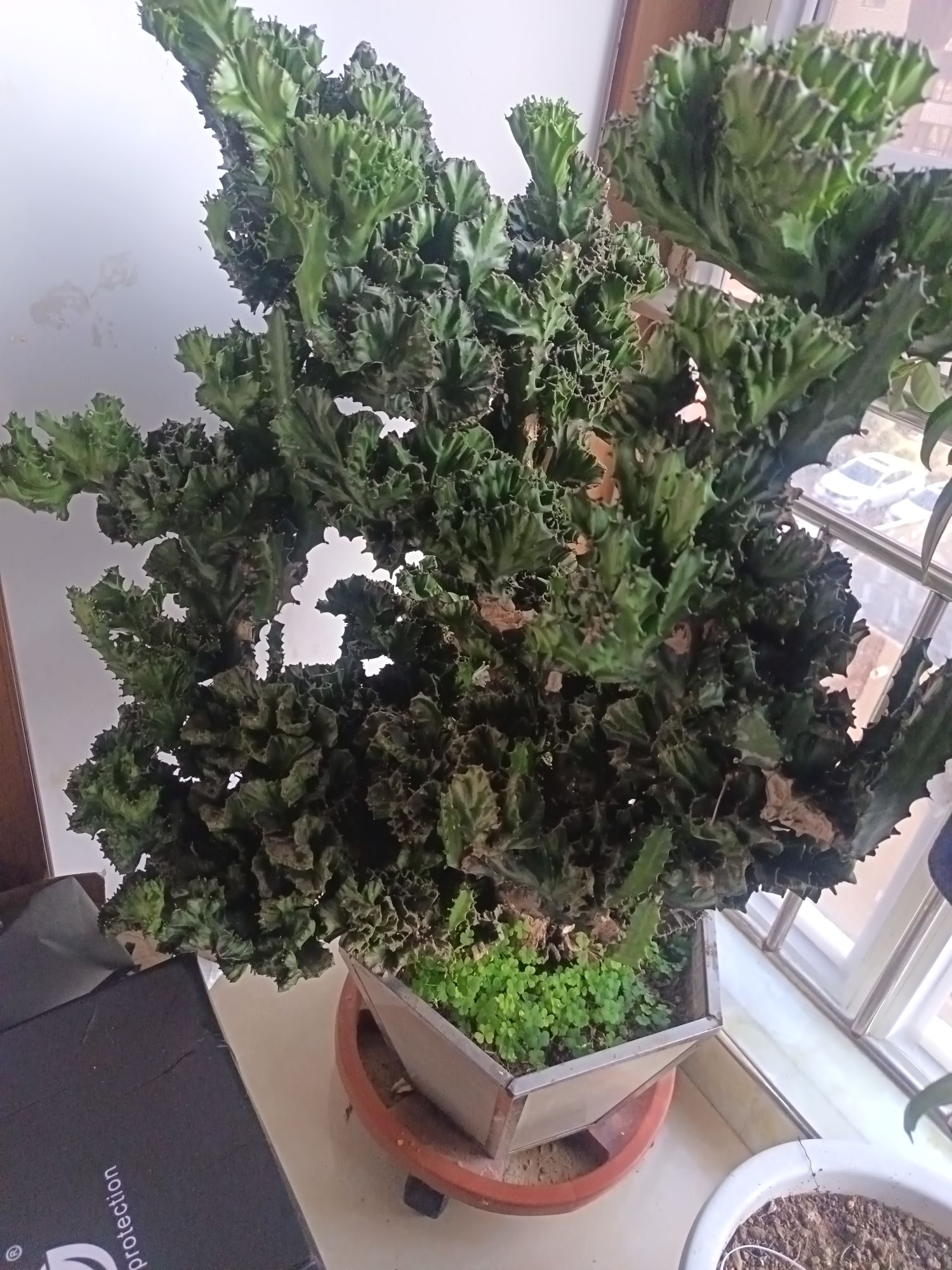 有没有要的，太大了，家里没地方放了，给两钱就行，东西在联华一号
