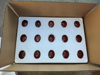 大连瓦房店自家苹果，新品种富士，好苹果5元一斤，口感嘎嘎好，吃一次就知道，带点毛病的10元4斤，口感