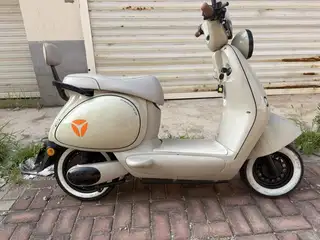 雅迪电动自行车，警察不抓，60伏大电池，续航60公里，没有任何问题，手机控制车