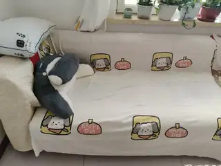 自家沙发便宜处理了