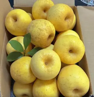 苹果届的香甜担当回归✅ ✅纯甜无酸 ✅脆嫩爆汁 ✅自带独特花香 金黄细腻果肉，皮薄核小 带雀斑果锈才