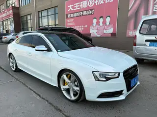 新到14年原装进口奥迪A5，车况板正，里外颜值爆表超级新，保时表11万公里，重点龟壳EA888三代发